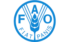 FAO